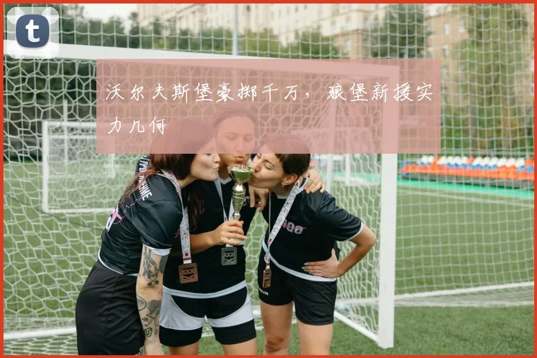 沃尔夫斯堡豪掷千万，狼堡新援实力几何