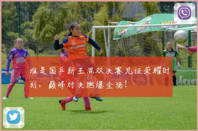 谁是国乒新王混双决赛见证荣耀时刻，巅峰对决燃爆全场！